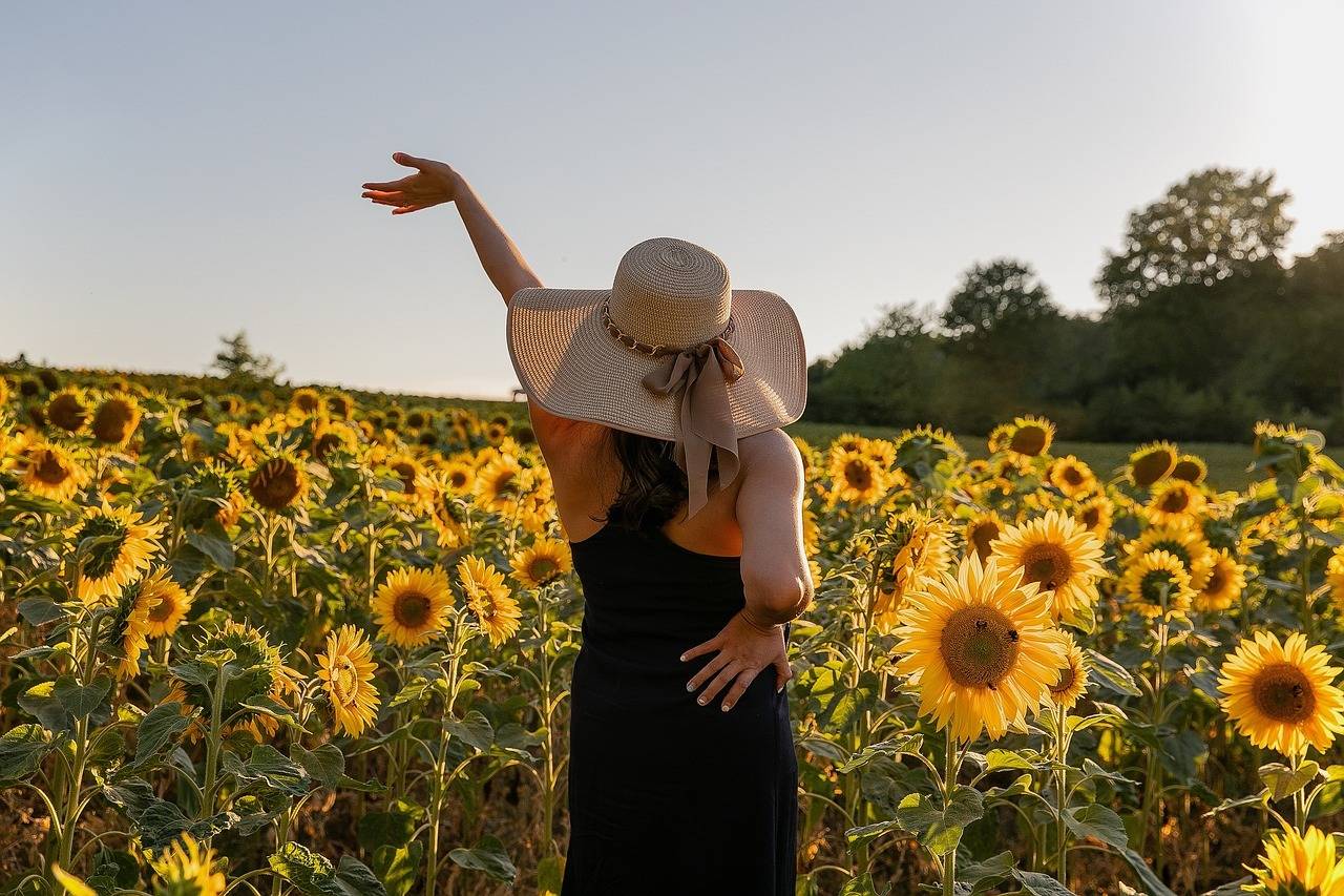 sunflowers-5482116_1280 Home